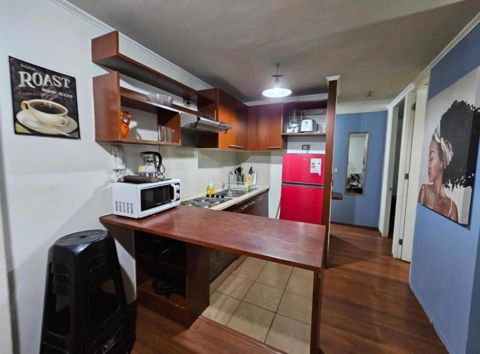 Apart Hotel Suagon Suites Santiago Centro Esterno foto