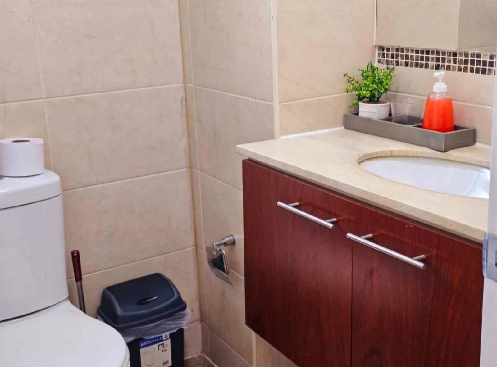Apart Hotel Suagon Suites Santiago Centro Esterno foto